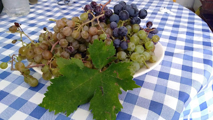 Información y opiniones sobre Casino encinacorba de Encinacorba