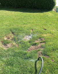 Wildlife and Rodent Removal - Photo 3 - Car repair in , Sacramento