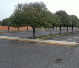 Unidad Cultural Y Deportiva Seccion 17 SNTE Valle De Toluca photo