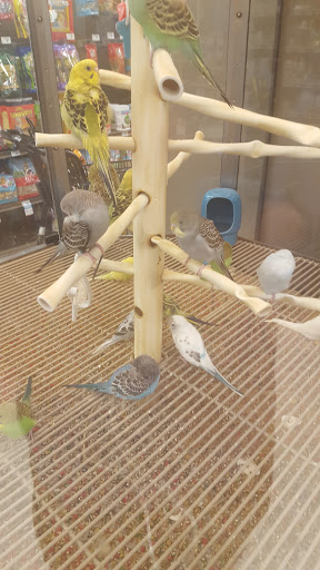 Pet Supply Store «Petco Animal Supplies», reviews and photos, 806 Sunrise Hwy, Baldwin, NY 11510, USA