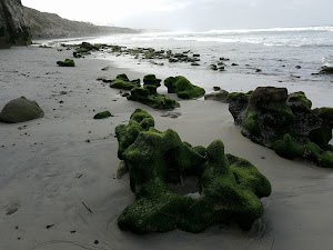 Cerezo Bluffs - photo 36