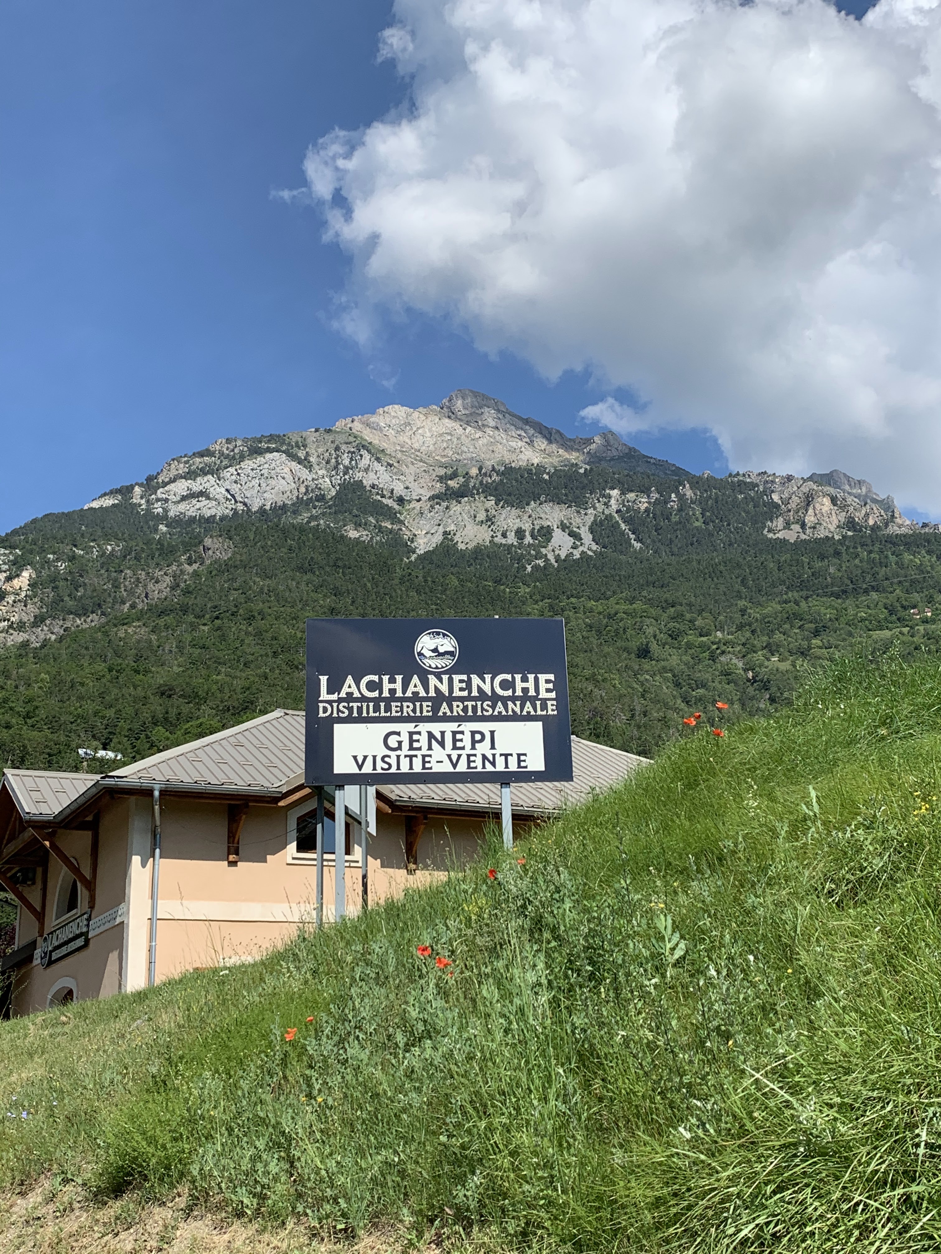 Photo n° 2 de l'avis de Sari. fait le 26/06/2020 à 15:19