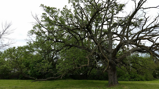 Grocery Store «Jewel-Osco», reviews and photos, 1400 21st St, Zion, IL 60099, USA