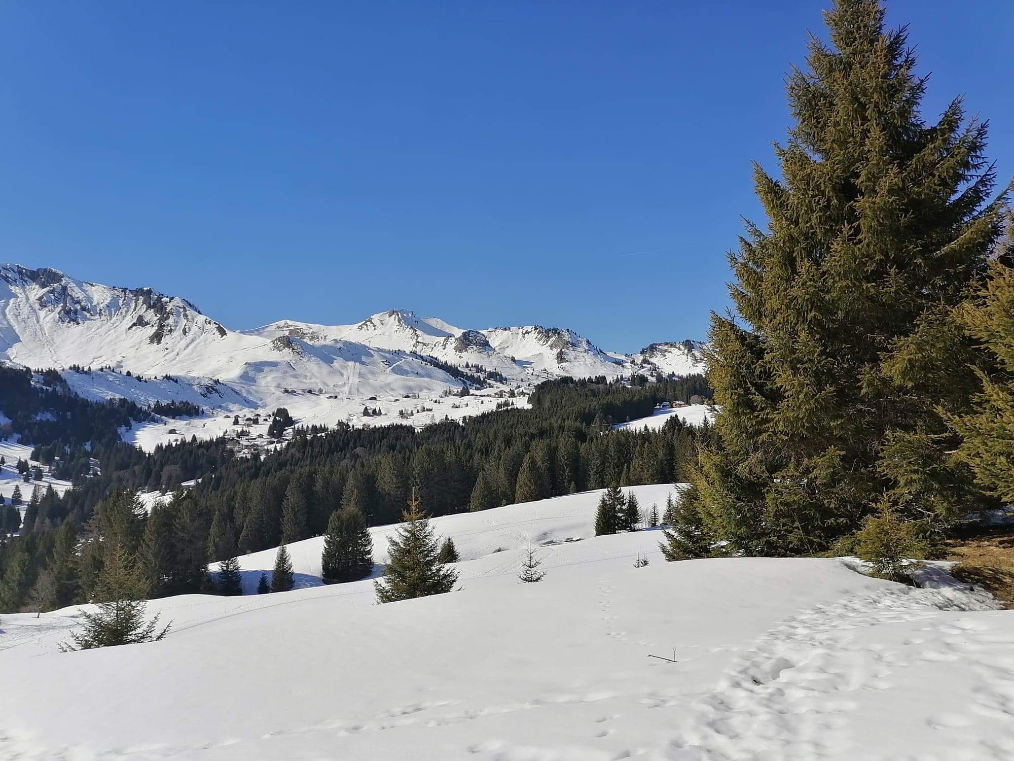 Photo n° 26 de l'avis de Lydia.o fait le 29/02/2020 à 19:49
