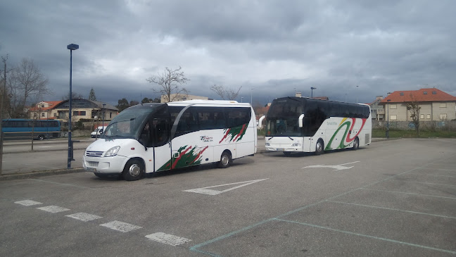 Transportes Serra & Filhos Lda