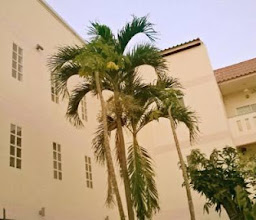 Bun Thook Mansion photo