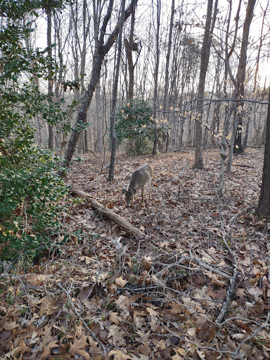 Park «Ellanor C. Lawrence Park», reviews and photos, 5040 Walney Rd, Chantilly, VA 20151, USA