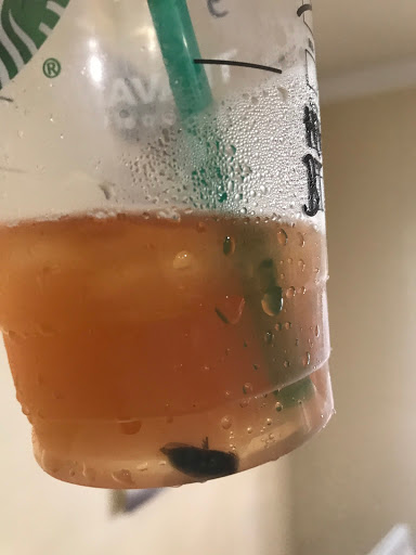 Coffee Shop «Starbucks», reviews and photos, 30503 US Hwy 19 N b, Palm Harbor, FL 34684, USA