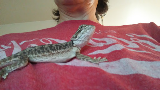 Pet Supply Store «PetSmart», reviews and photos, 443 N Rolling Meadows Dr, Fond du Lac, WI 54937, USA