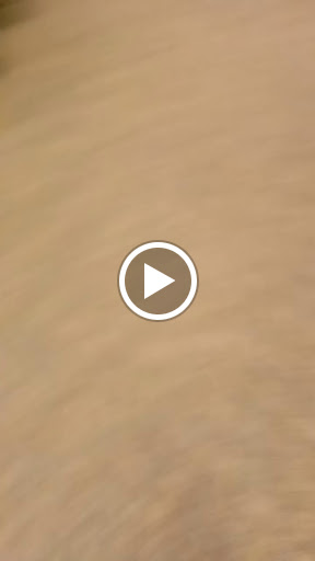 Shopping Mall «Bonaventure Mall», reviews and photos, 1501 Plymouth Rd, Minnetonka, MN 55305, USA