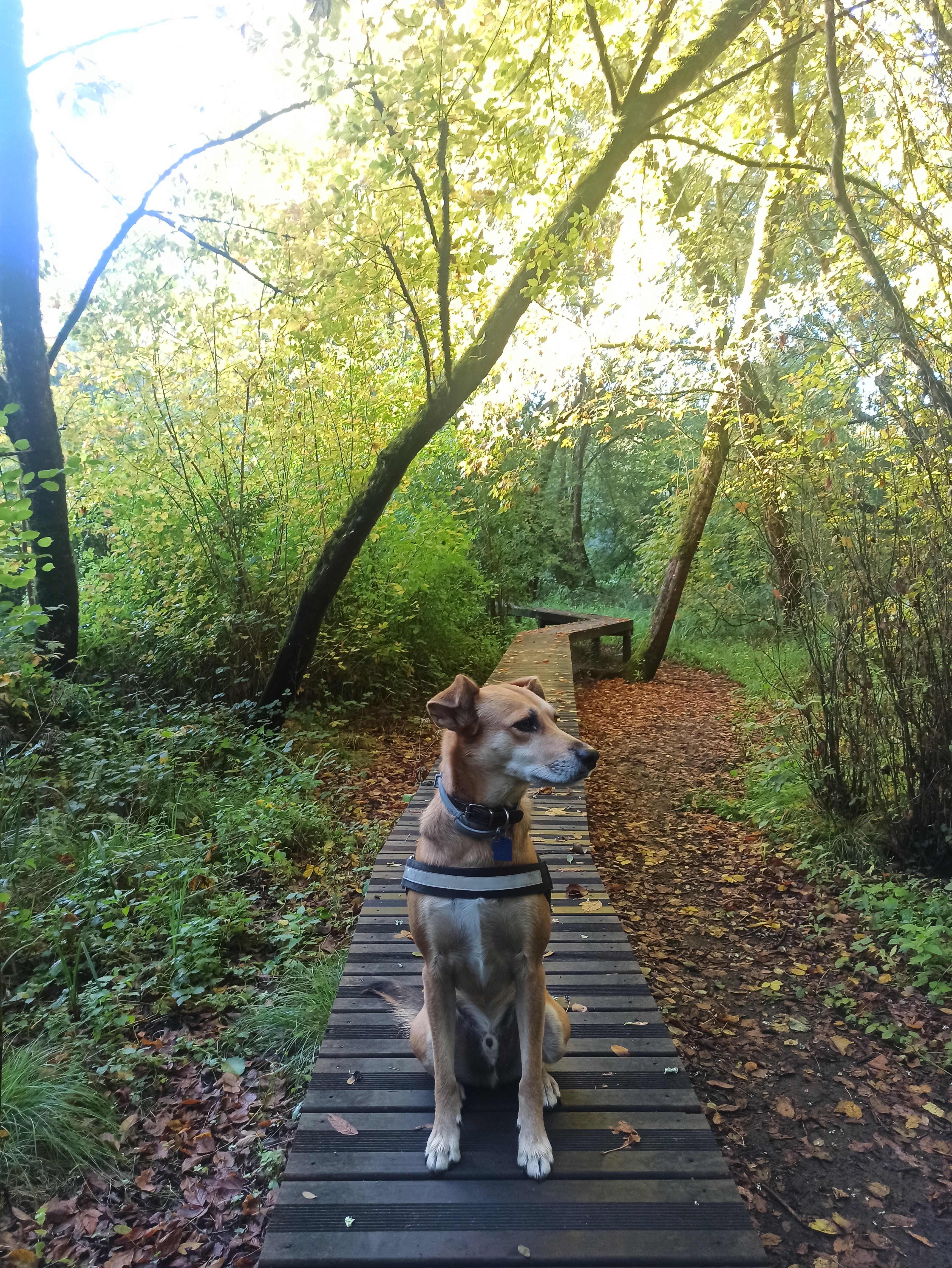 Photo n° 3 de l'avis de Maïlys.d fait le 30/09/2022 à 14:19