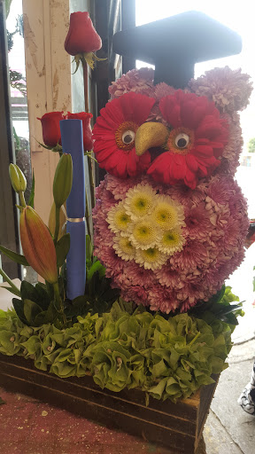 Floraby Arte y Diseño Natural – Coacalco