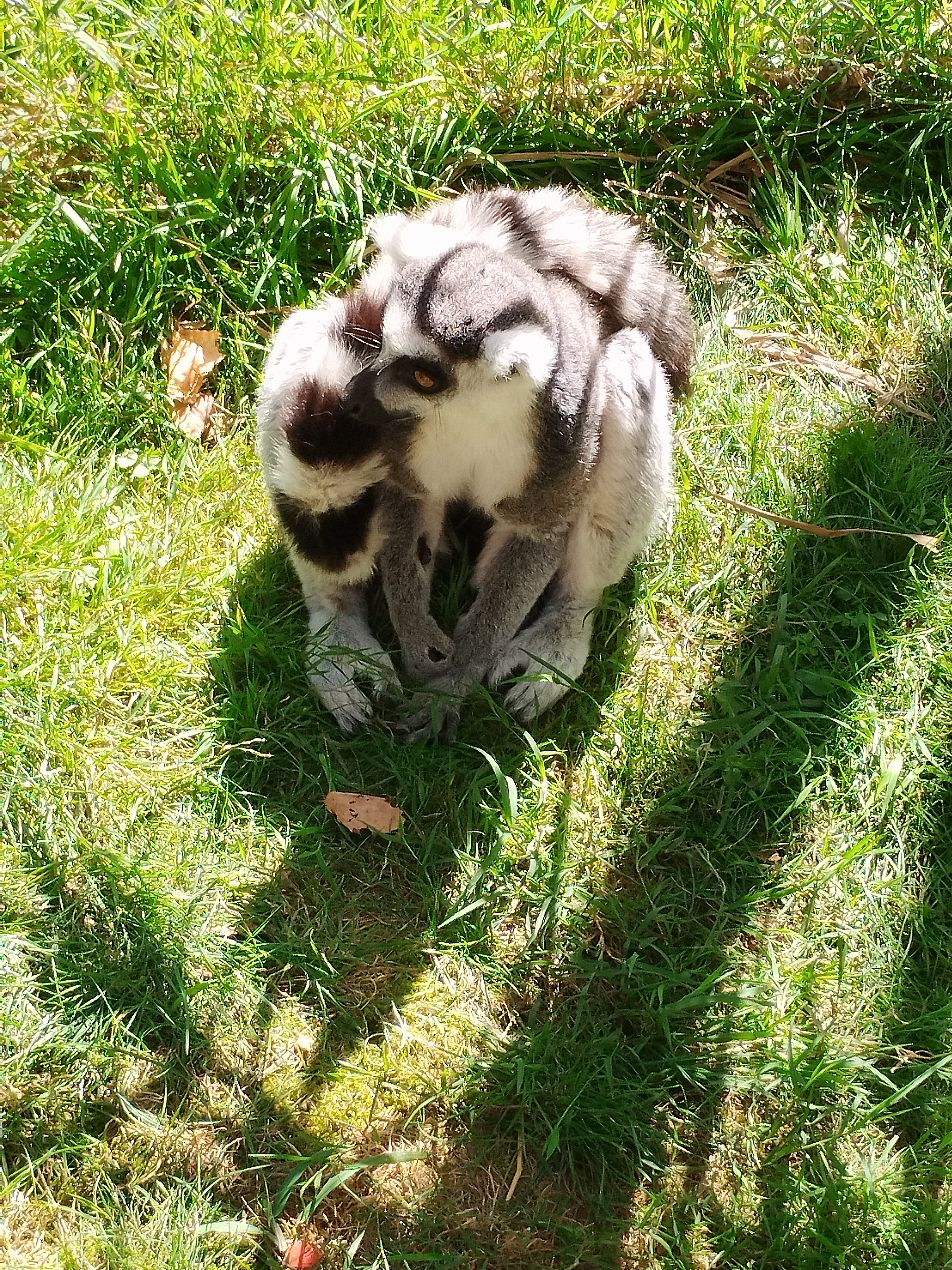 Photo n° 2 de l'avis de Cédric.� fait le 10/08/2023 à 10:03