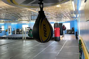 Ludus Magnus Boxing & Fitness image