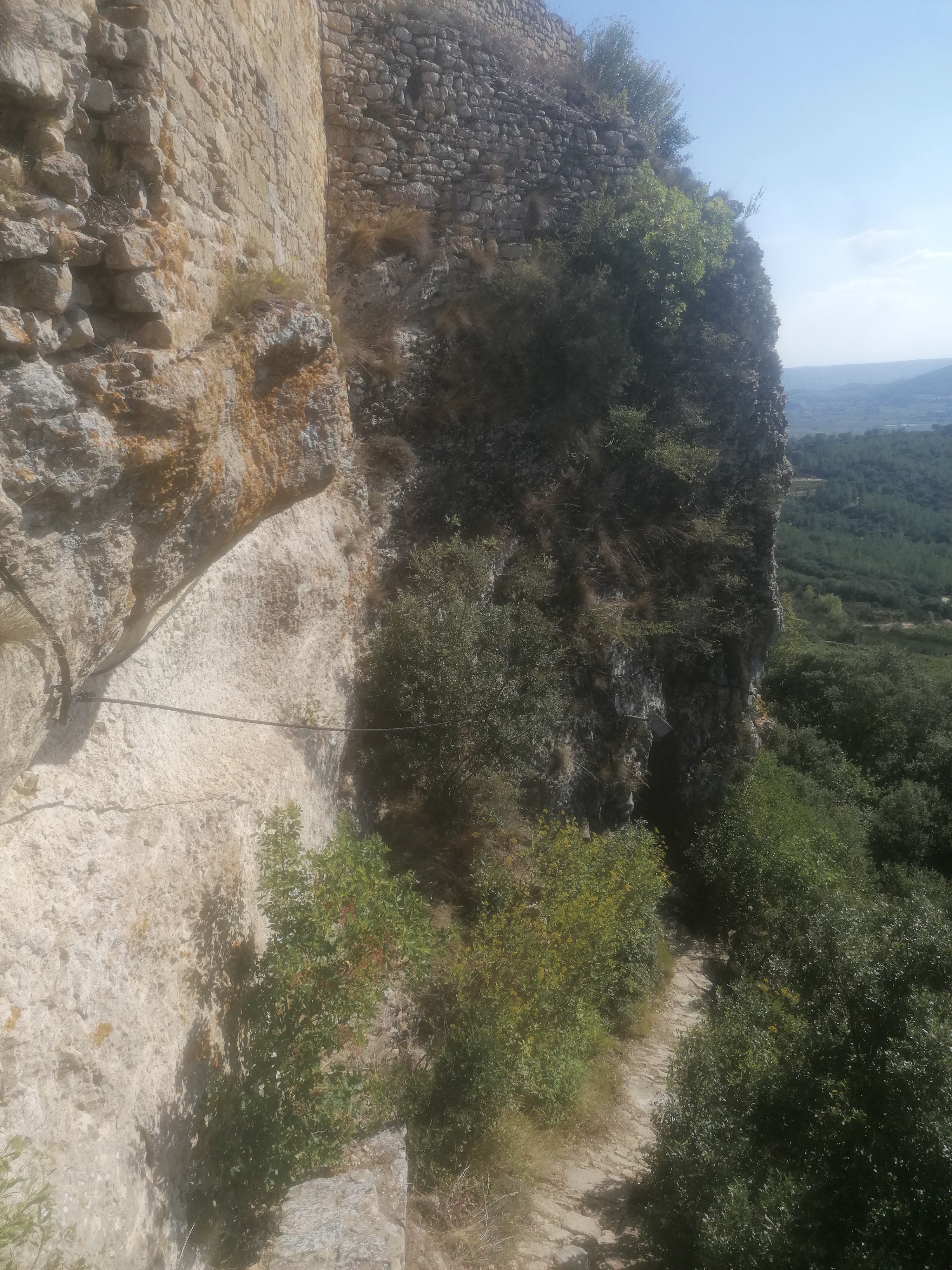 Photo n° 18 de l'avis de marmotte.n fait le 17/10/2021 à 13:10