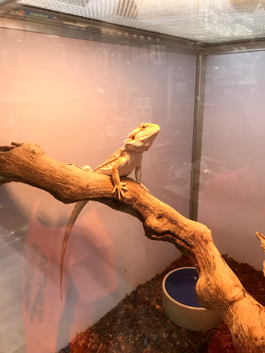 Pet Supply Store «Pet Supermarket, Inc.», reviews and photos, 1052 Peachtree Industrial Blvd, Suwanee, GA 30024, USA