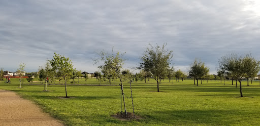 Park «Eagle Ranch West Pocket Park», reviews and photos, 5754 Eagle Sky Blvd, Katy, TX 77449, USA