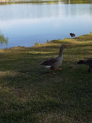 Park «Salem Park», reviews and photos, 1724 GA-155 N, McDonough, GA 30252, USA