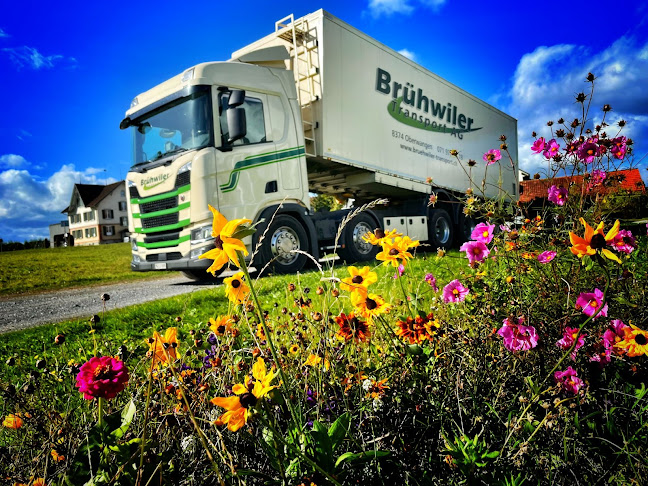 Rezensionen über Brühwiler Transport AG in Wil - Kurierdienst