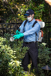 HomeTeam Pest Defense - Photo 8 - Car repair in Georgetown, TX, Round Rock