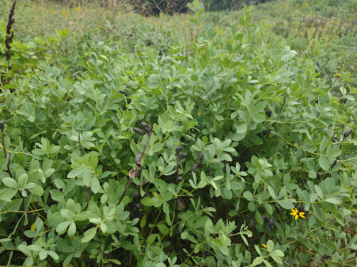 Park «Theodore Wirth Regional Park», reviews and photos, 1339 Theodore Wirth Pkwy, Golden Valley, MN 55422, USA