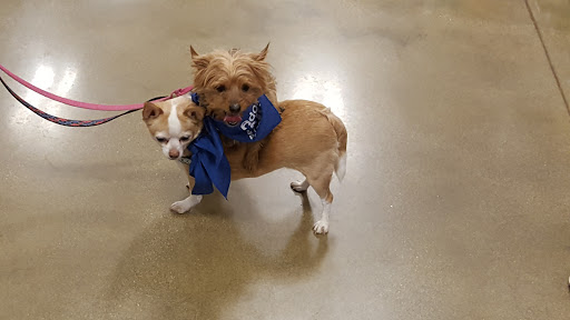 Pet Supply Store «PetSmart», reviews and photos, 4824 211th St, Matteson, IL 60443, USA