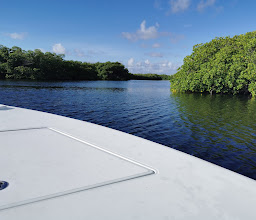 Cancun Light Tackle and Fly Fishing photo