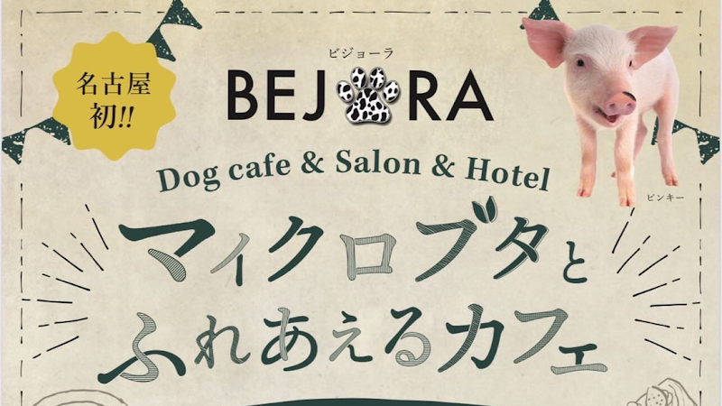 BEJORA - DOG CAFE & SALON & HOTEL -