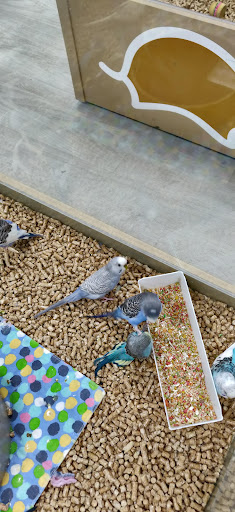 Pet Store «Petland Topeka», reviews and photos, 1801 SW Wanamaker Rd, Topeka, KS 66614, USA