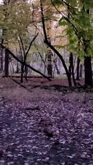 Thatcher Woods - photo 70