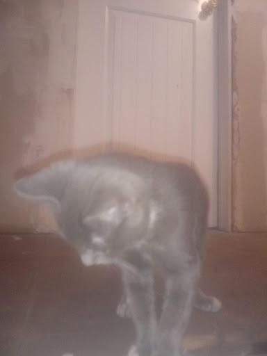 Liquor Store «Hampden Discount Liquors», reviews and photos, 7 Allen St, Hampden, MA 01036, USA