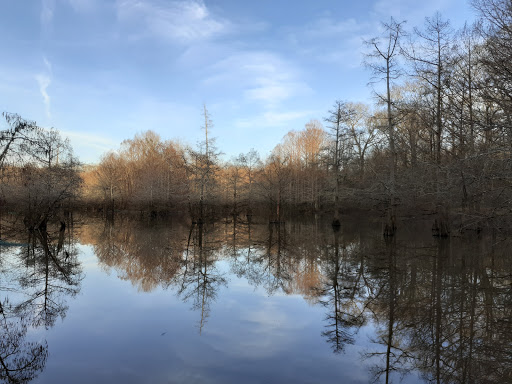 Park «Leake County Water Park», reviews and photos, 1190 Park Rd, Lena, MS 39094, USA