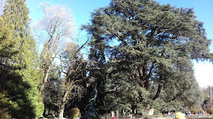 Photo n°7 de Pierracryl à Angos ()