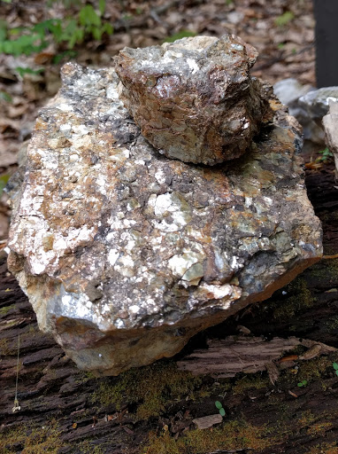 Nature Preserve «Mianus River Gorge Preserve», reviews and photos, 167 Mianus River Rd, Bedford, NY 10506, USA