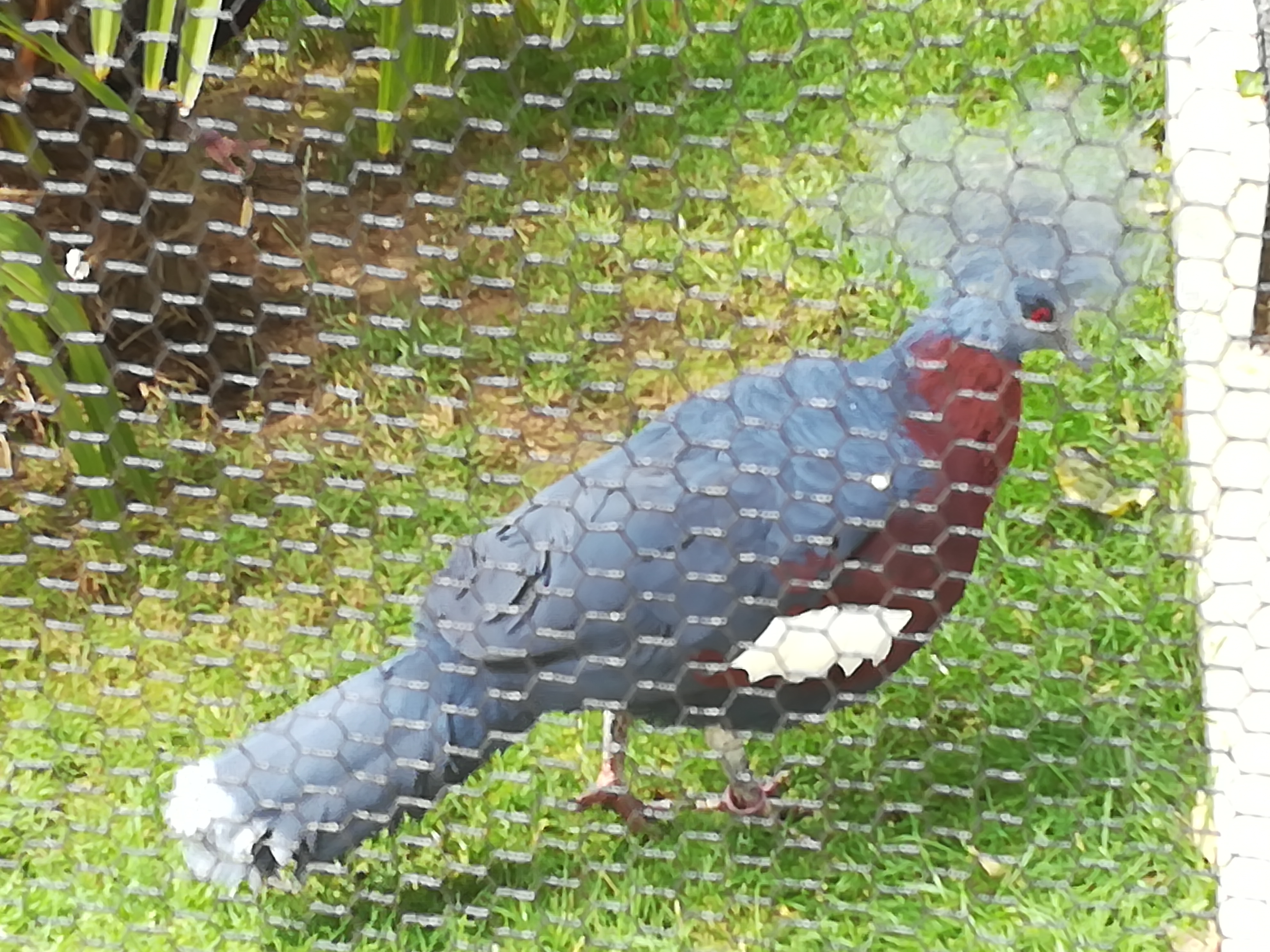 Photo n° 17 de l'avis de Christophe.A fait le 26/07/2020 à 19:03