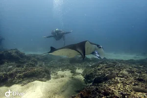 S.E.A. Diving Bali image
