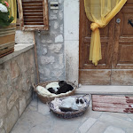 Photo n°4 de l'avis de Riccardo.i fait le 12/06/2021 à 22:18 sur le  Hotel Delle Rose à Cascia