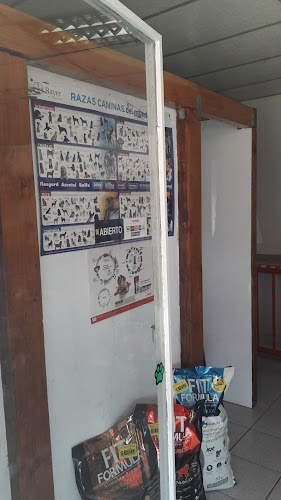Los Plátanos 2197, local comercial, 7811177 Macul, Región Metropolitana