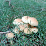 Photo n° 1 de l'avis de Le.o fait le 29/04/2021 à 17:50 pour Secret Dream Bar a Hotesses & Bar a Champagne à Lyon à Lyon