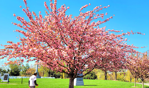 Monument «The Tomb of the Unknowns», reviews and photos, 1 Memorial Ave, Fort Myer, VA 22211, USA