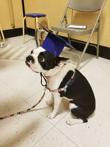 Pet Supply Store «PetSmart», reviews and photos, 34940 Emerald Coast Pkwy, Destin, FL 32541, USA