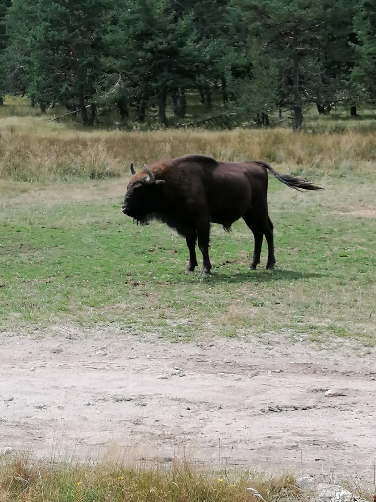 Photo n° 2 de l'avis de Julien.u fait le 04/09/2019 à 16:55