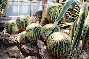 Phipps Conservatory and Botanical Gardens - photo 9