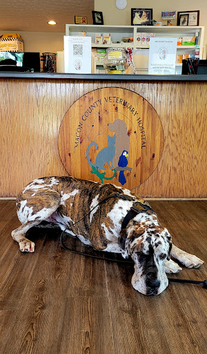 Macon County Veterinary Hospital image