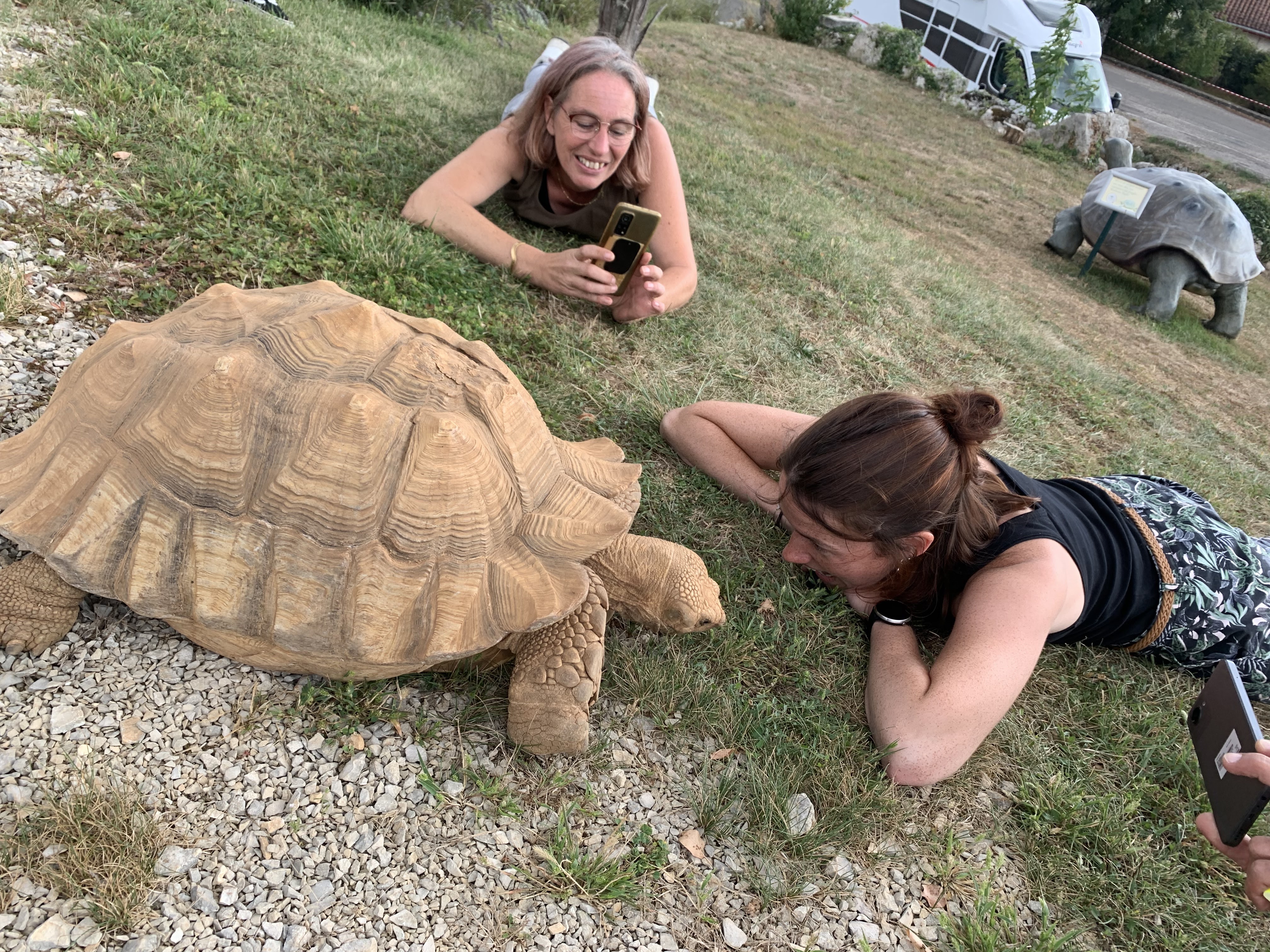 Photo n° 5 de l'avis de Romane.i fait le 28/08/2023 à 19:27