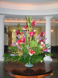 Gloria Mejia Eventos - Car repair in , Kissimmee - Rated 0.0/5