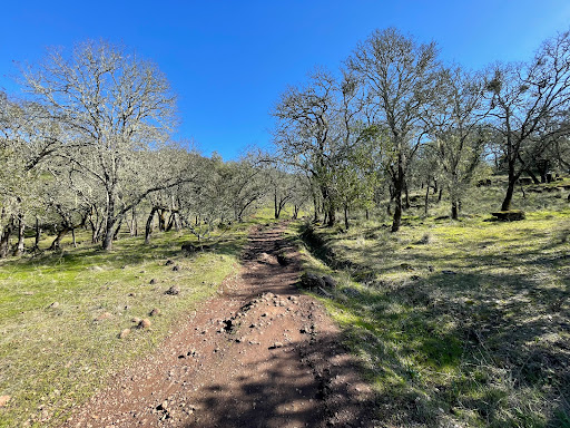 Trione-Annadel State Park
