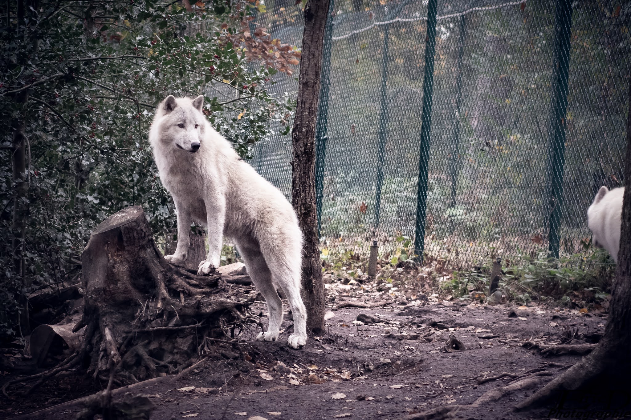 Photo n° 14 de l'avis de Ricou.H fait le 28/10/2020 à 16:42