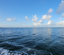 marlin fishing cancun photo