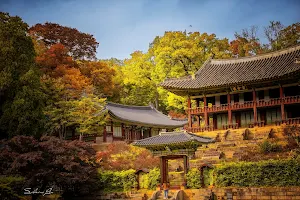 Changdeokgung Secret Garden image